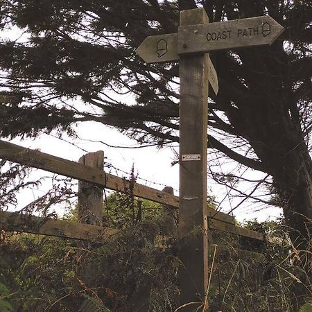 Ferienwohnung The Tempest, Sea Views, Coastal & Rural Walks. Ilfracombe Exterior foto